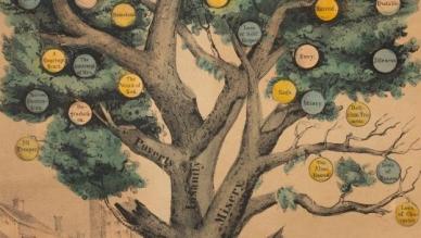 Tree of intemperance