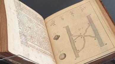 Leeuwenhoek