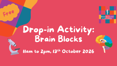 Brain Blocks