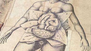 Midwives book