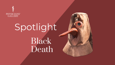 A tan leather plague mask, with long beak, on a terracotta pink background 